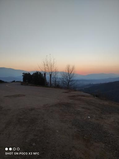 عکس نگین سبز گیلان