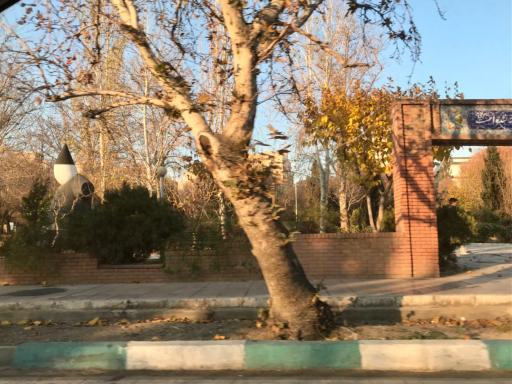 عکس بوستان صبا