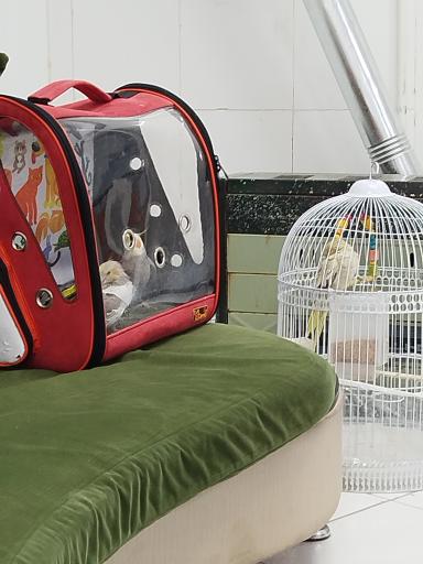 عکس کلینیک اختصاصی پرندگان دكتر کریمی