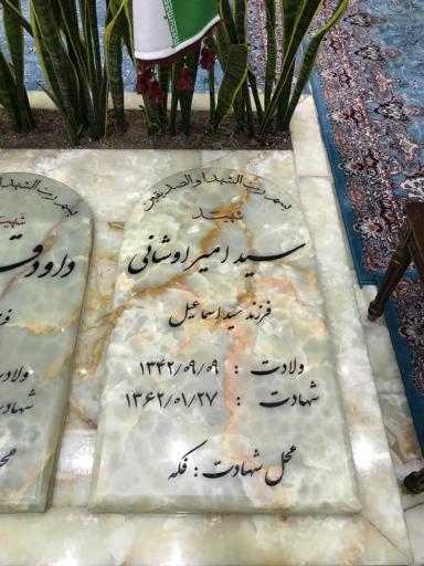 عکس مزار شهید سید امیر اوشانی
