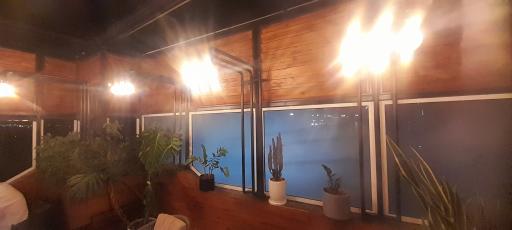 عکس کافه رستوران لونا