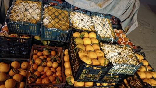 پخش عمده تره بار جهانگیر