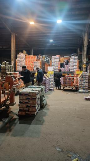 عکس پخش عمده تره بار جهانگیر