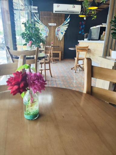 عکس کافه سیپ