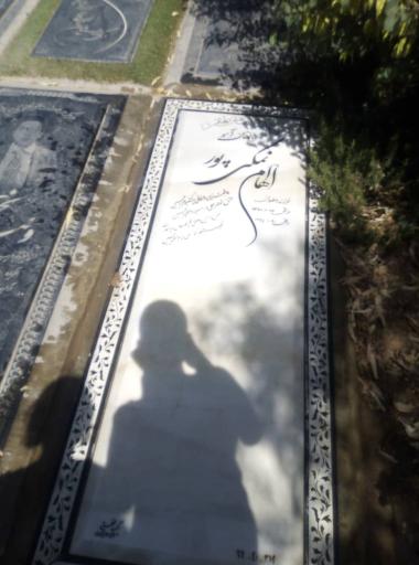 عکس قطعه 319