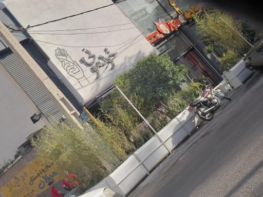 عکس شاورما خودمونی
