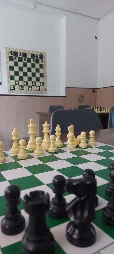 عکس باشگاه شطرنج مانتری