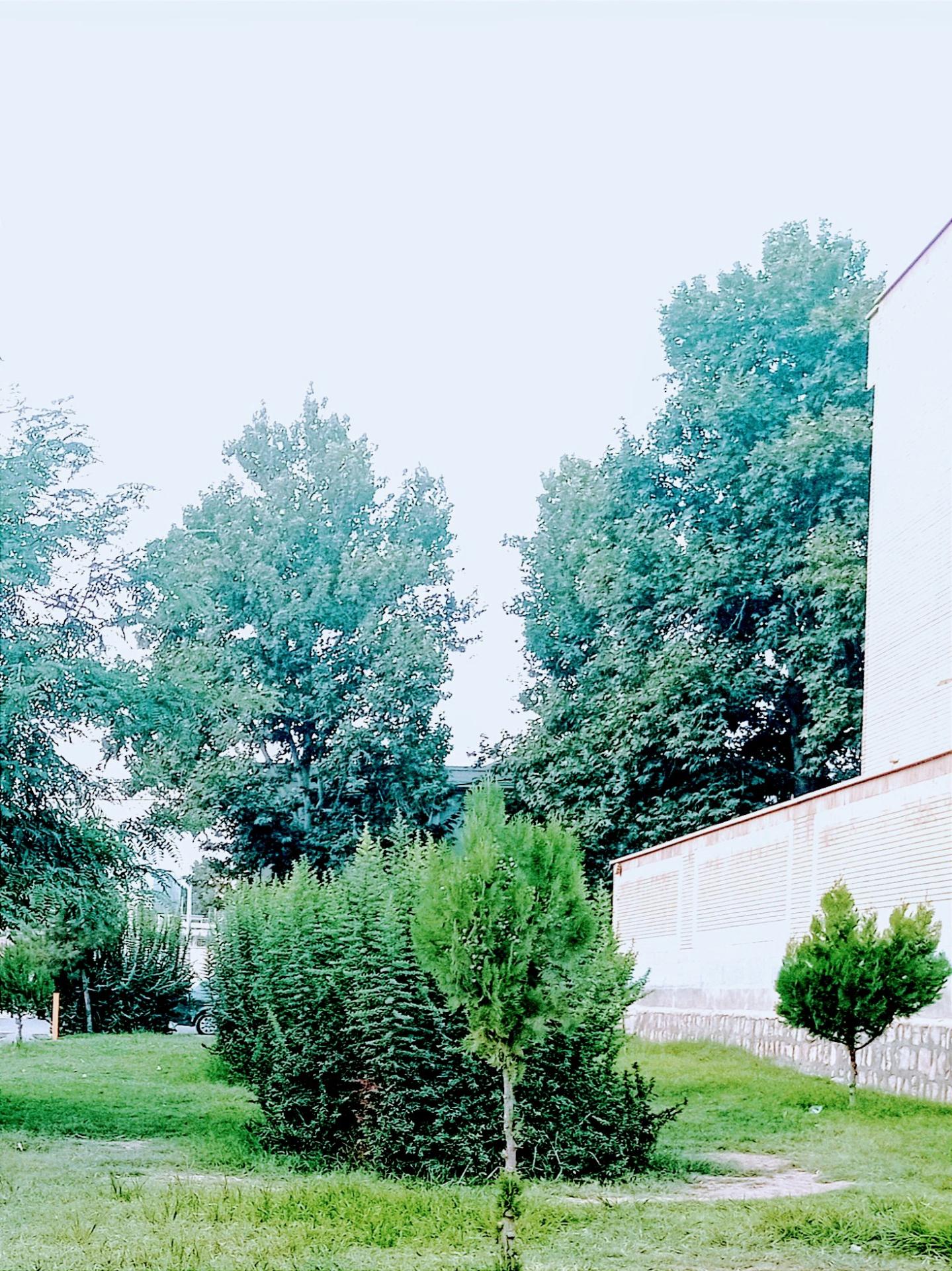 عکس بوستان شهروند 