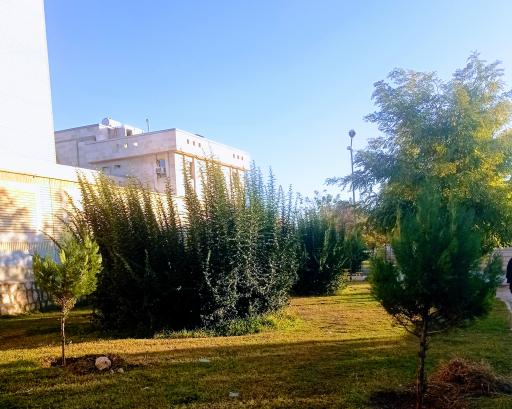 عکس بوستان شهروند 