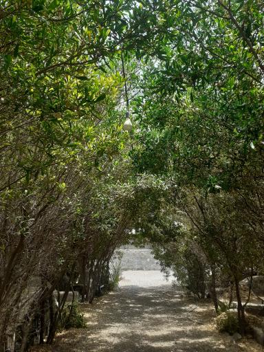 عکس مجتمع تفریحی باغ دزک