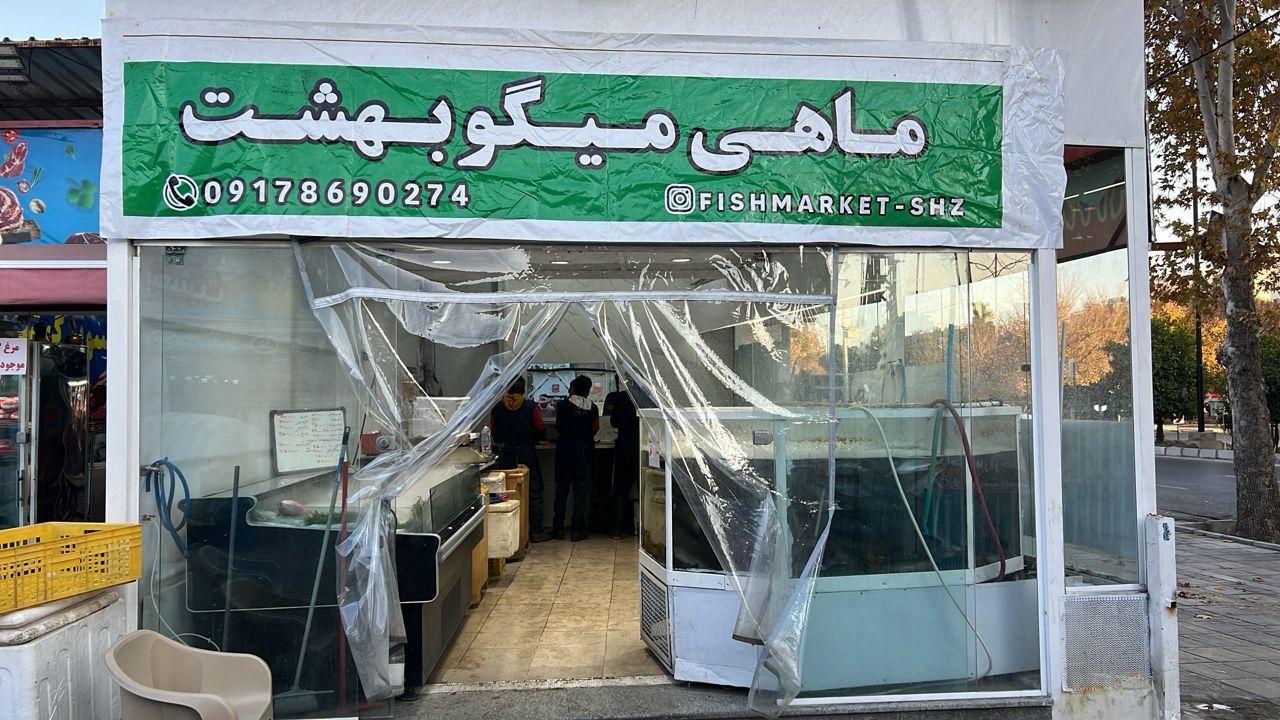 عکس ماهی میگو بهشت 