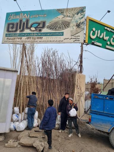 عکس موسسه تولیدی نهالستان بهاران