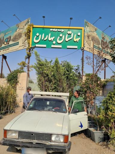 عکس موسسه تولیدی نهالستان بهاران