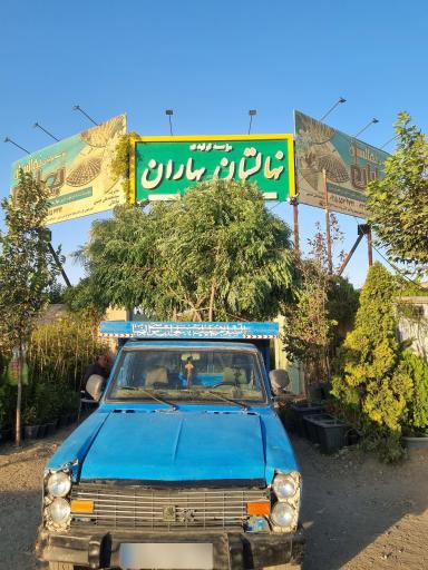 عکس موسسه تولیدی نهالستان بهاران