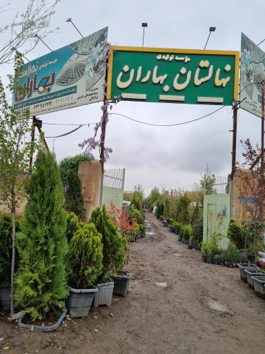 عکس موسسه تولیدی نهالستان بهاران