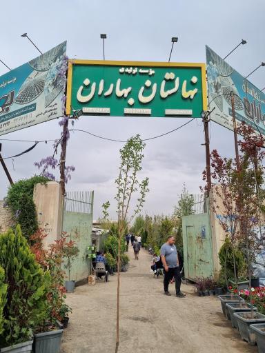 عکس موسسه تولیدی نهالستان بهاران