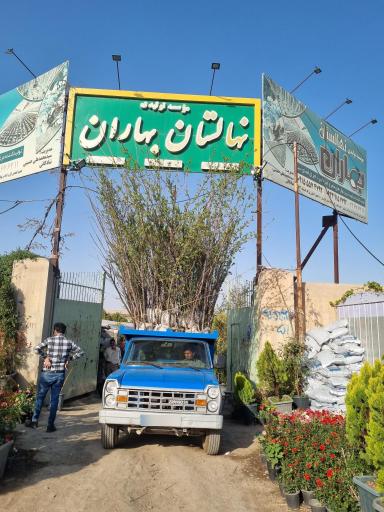 عکس موسسه تولیدی نهالستان بهاران
