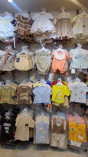 عکس سیسمونی آرش