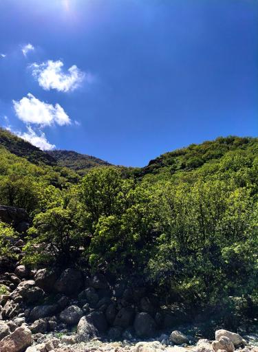 عکس آبشار  اسپی آو(شباندر)