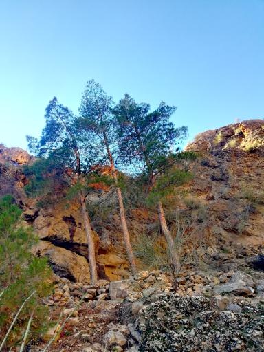 عکس ایستگاه سه کاج کوه دراک