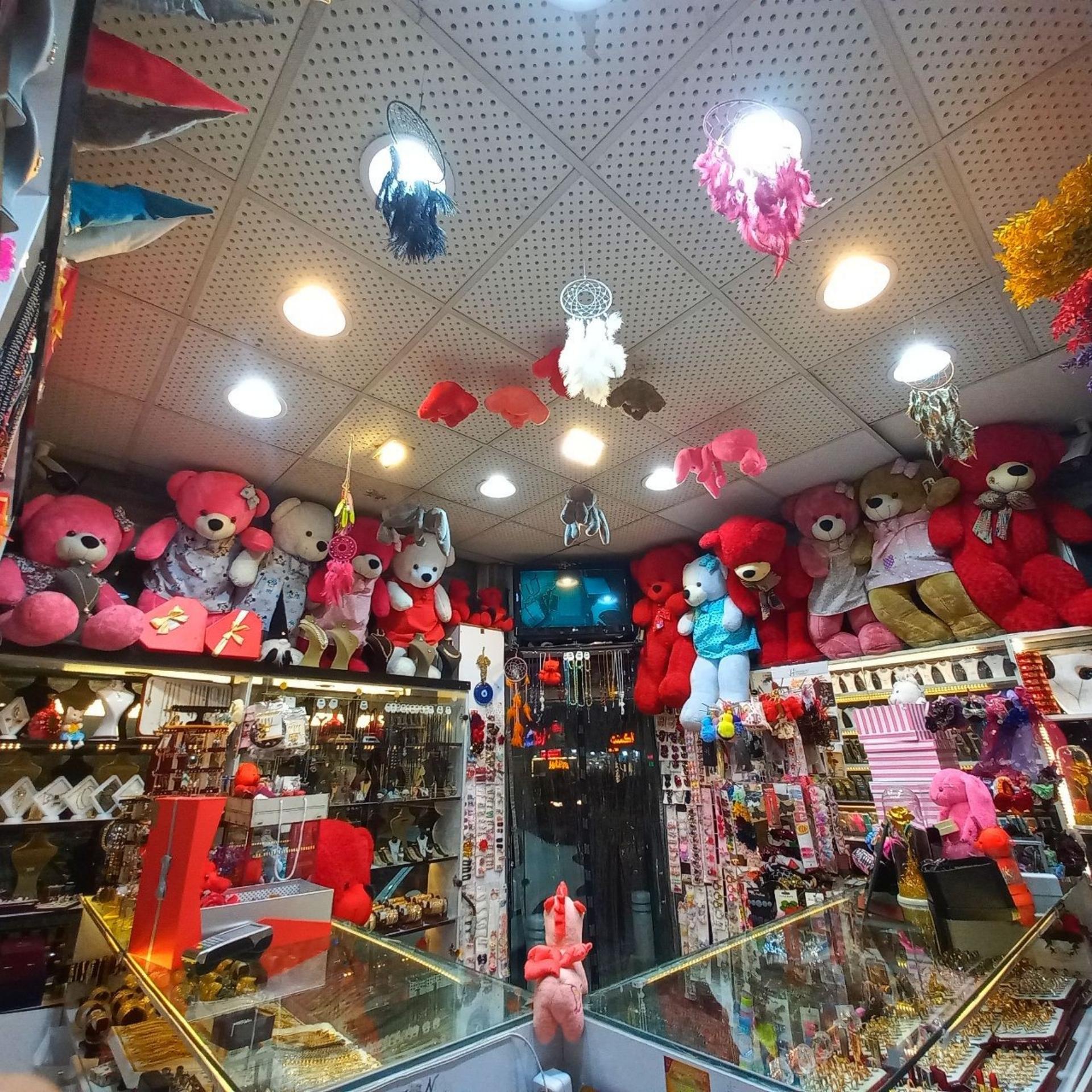 عکس گالری نیکا