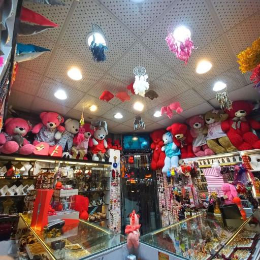 عکس گالری نیکا