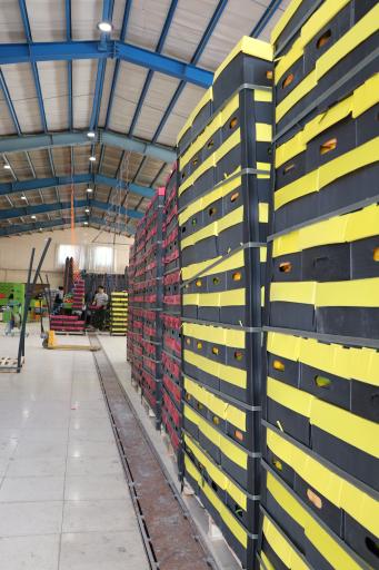 عکس سورت و بسته بندی کاروان (روستوک)