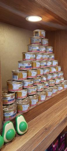 عکس پت شاپ بلوشاپ