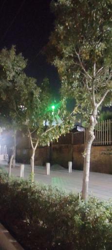 عکس امامزاده شاه سید علی