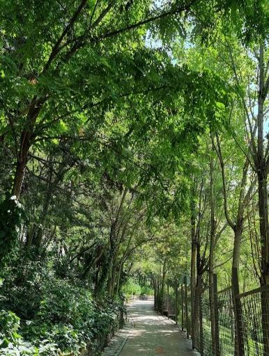 عکس پارک ایران زمین