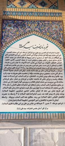 عکس امامزاده شاه سید علی