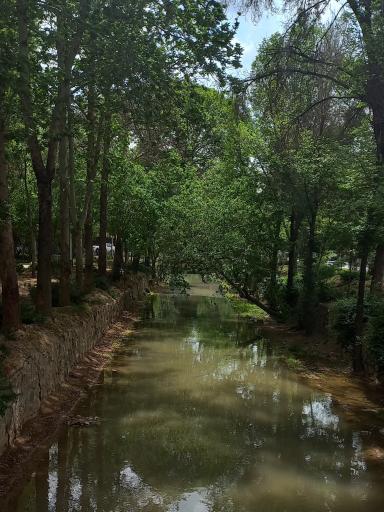 عکس مادی نیاصرم