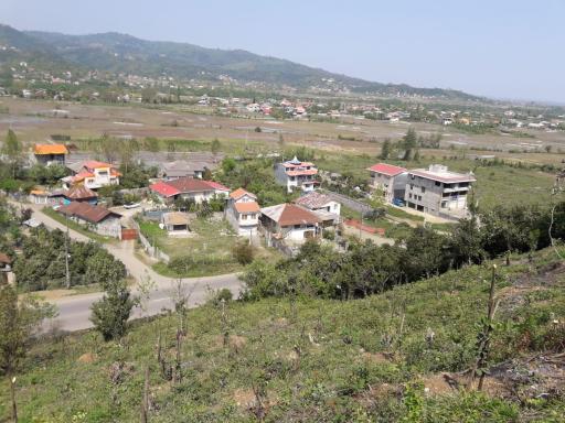 عکس بندبن نبکسر