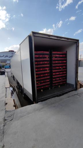 عکس سورت و بسته بندی کاروان (روستوک)