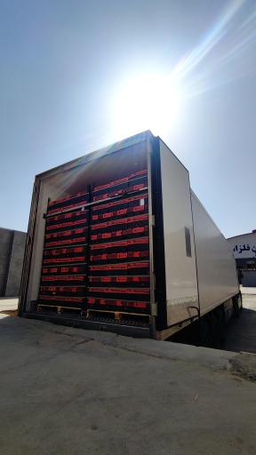 عکس سورت و بسته بندی کاروان (روستوک)