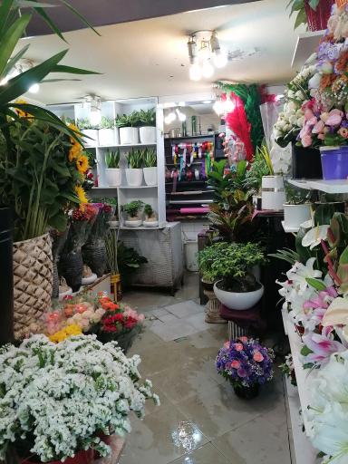 عکس گلسرای ارکیده وحشی