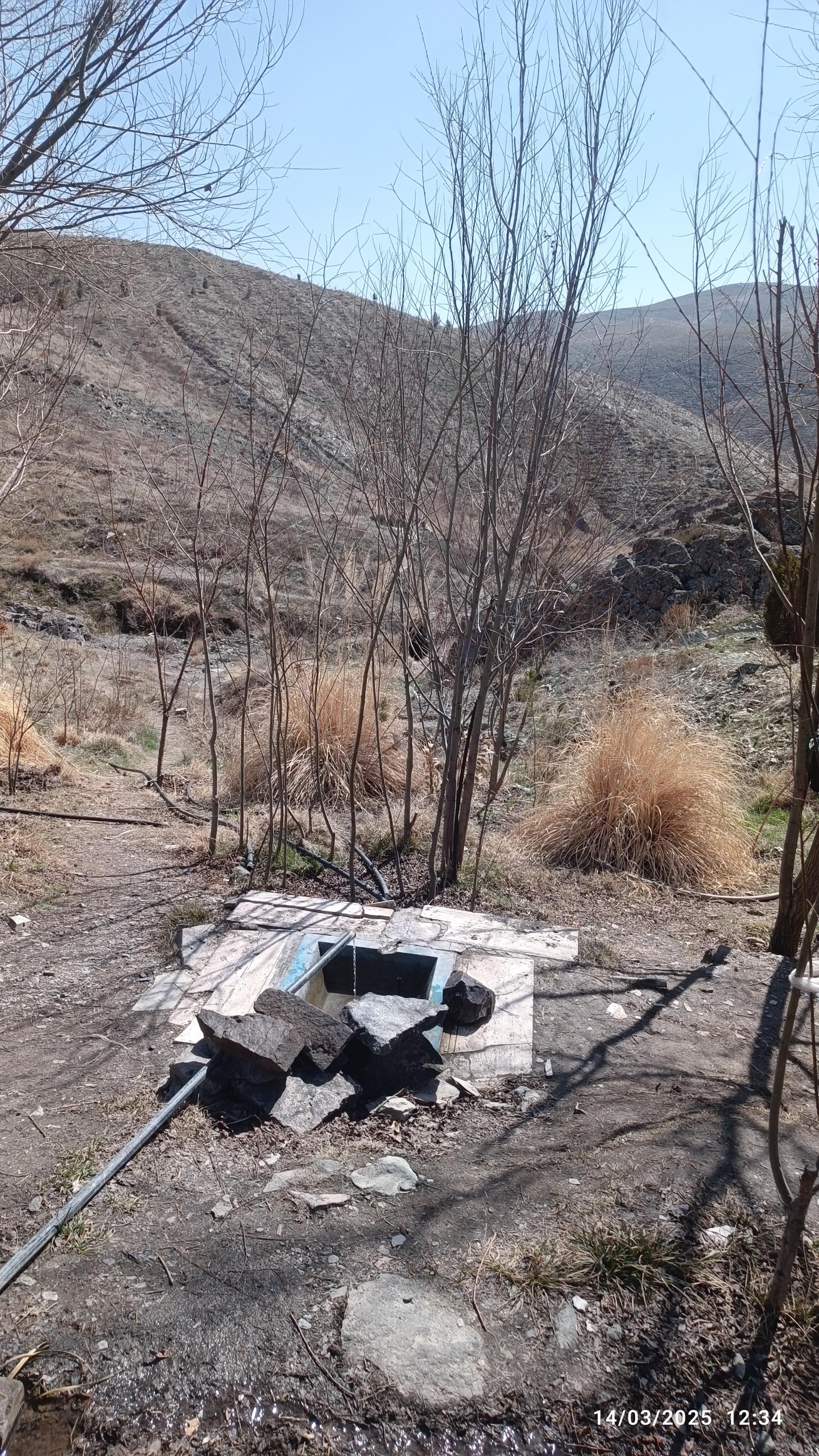 عکس چشمه پونه