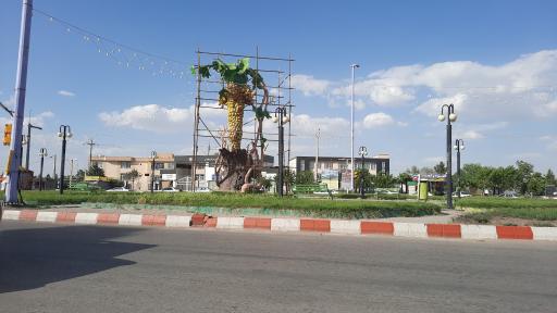 عکس میدان انگور - اوزوم