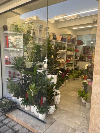 عکس مؤسسه ی گل فروشی یونا 