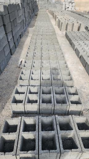 عکس دلینا بلوک