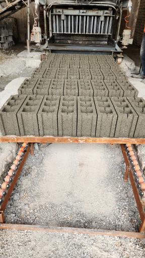 عکس دلینا بلوک