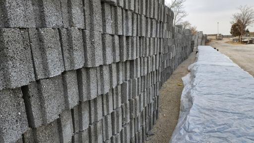 عکس دلینا بلوک