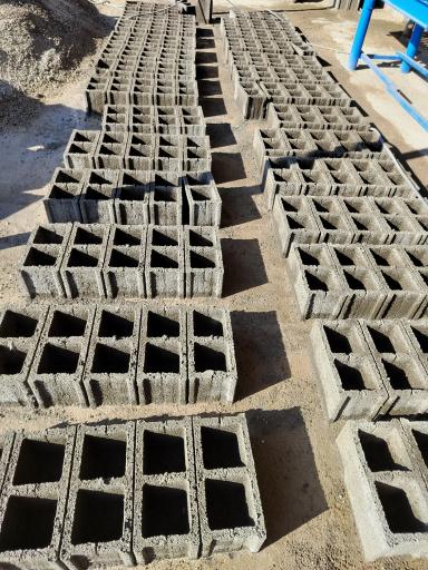 عکس دلینا بلوک