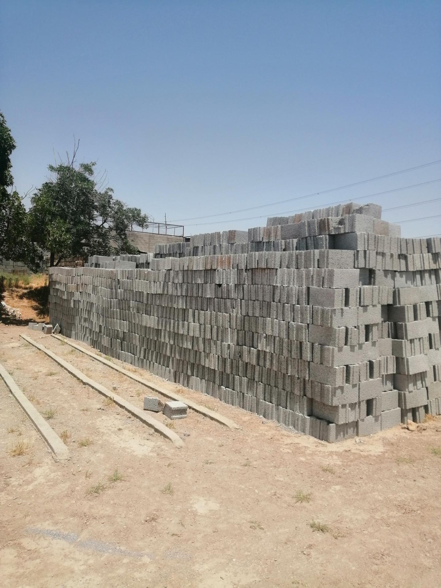 عکس دلینا بلوک