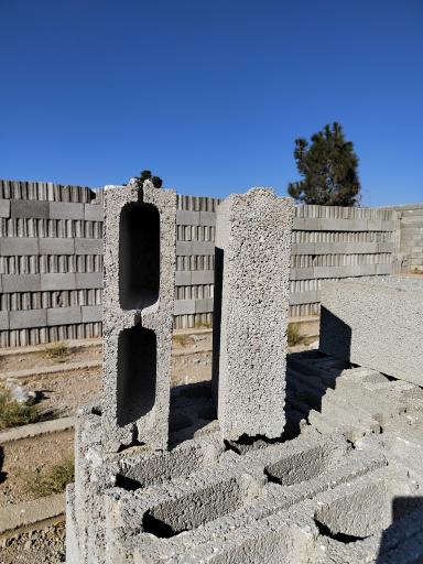 عکس دلینا بلوک