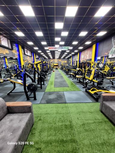 عکس باشگاه بدنسازی امپراطور