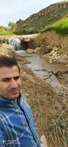 عکس آلمه قلاغ