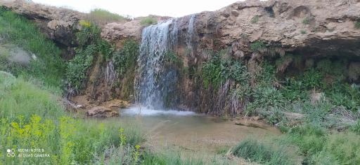 عکس آلمه قلاغ