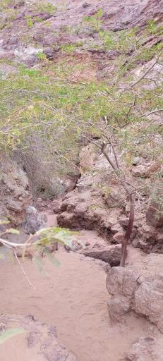 عکس غار رنگین کمان