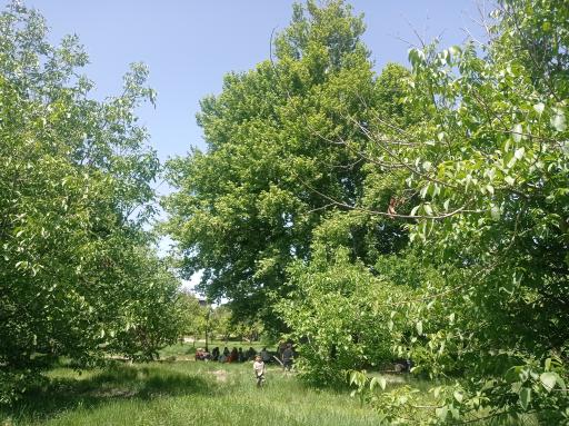 عکس باغ آستانه چاه خاصه